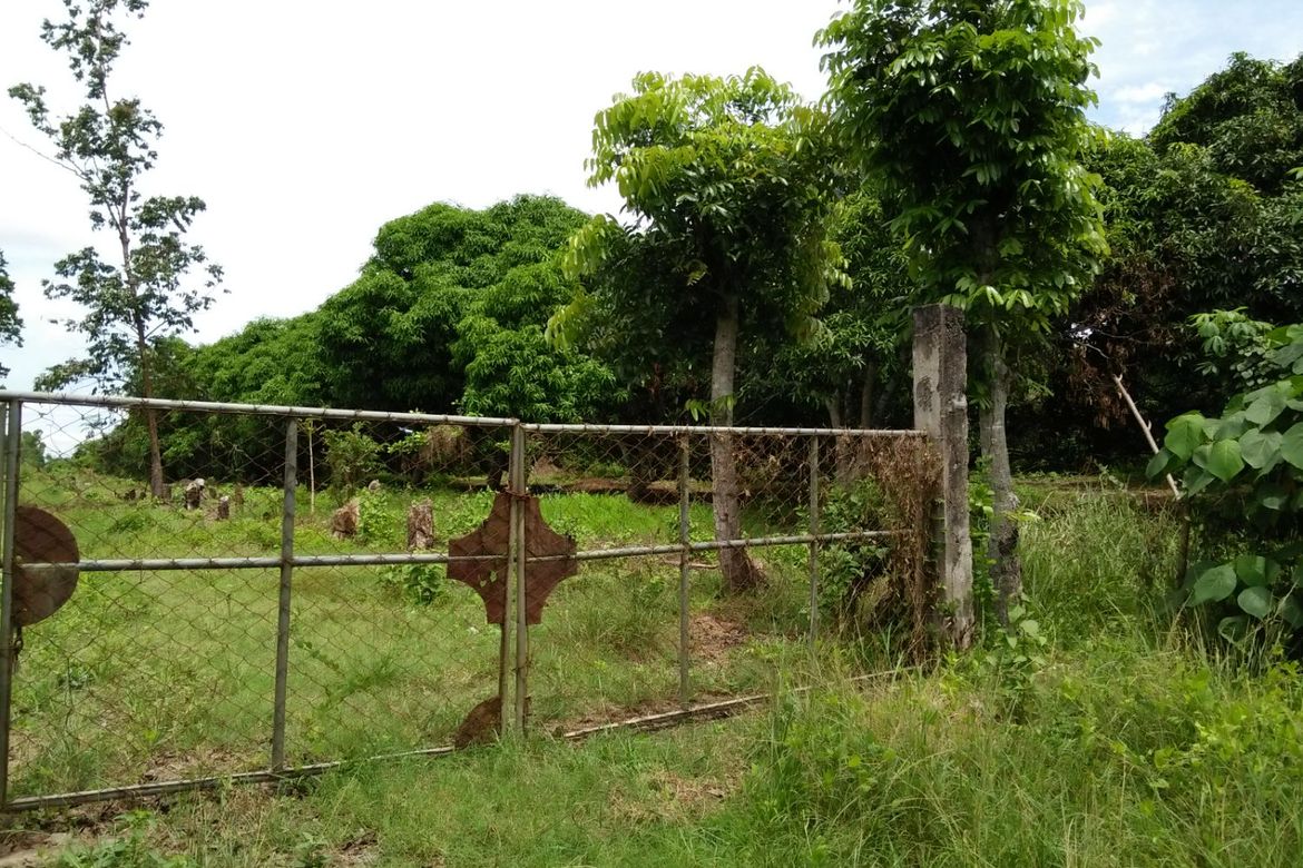 Land for Sale in Sinuagan, Pototan, Iloilo
