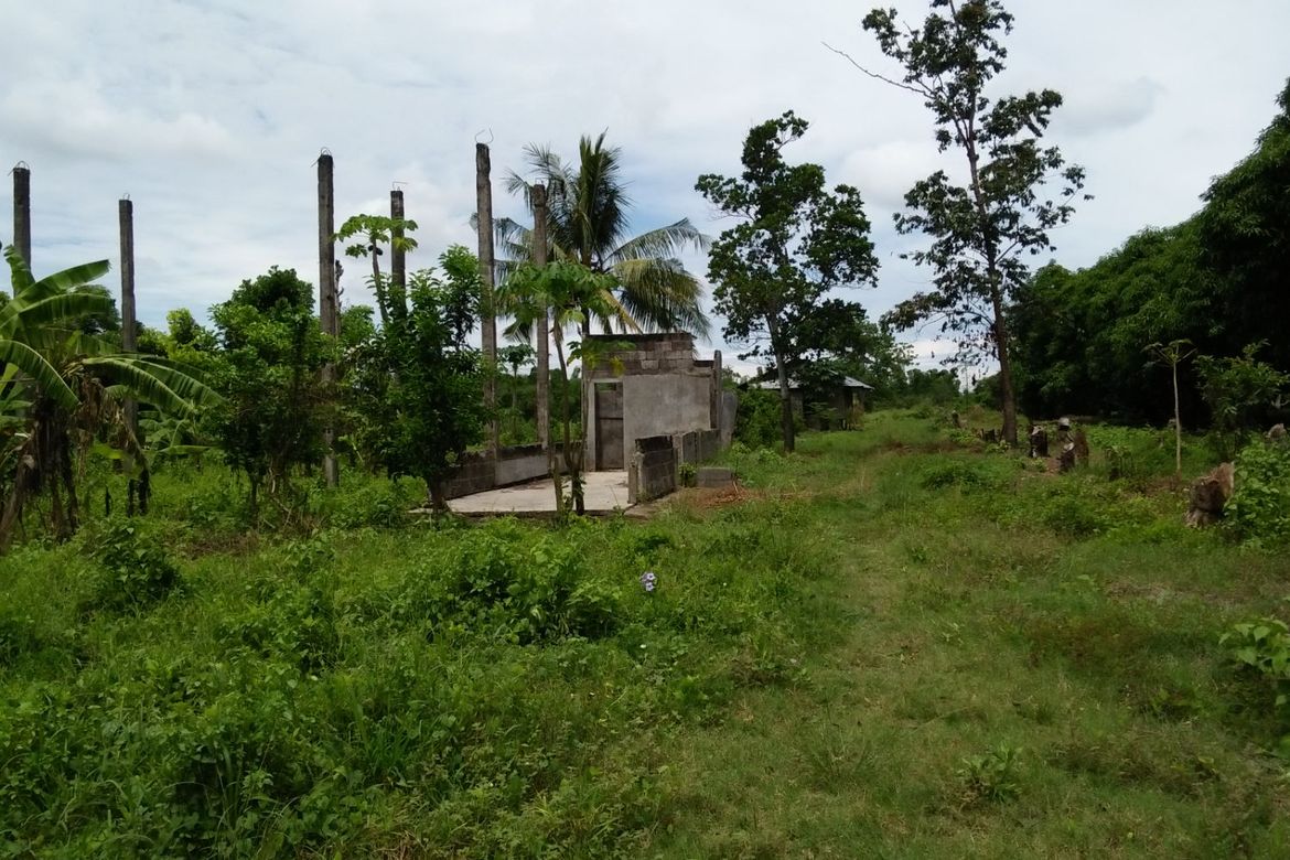 Land for Sale in Sinuagan, Pototan, Iloilo – photo 4