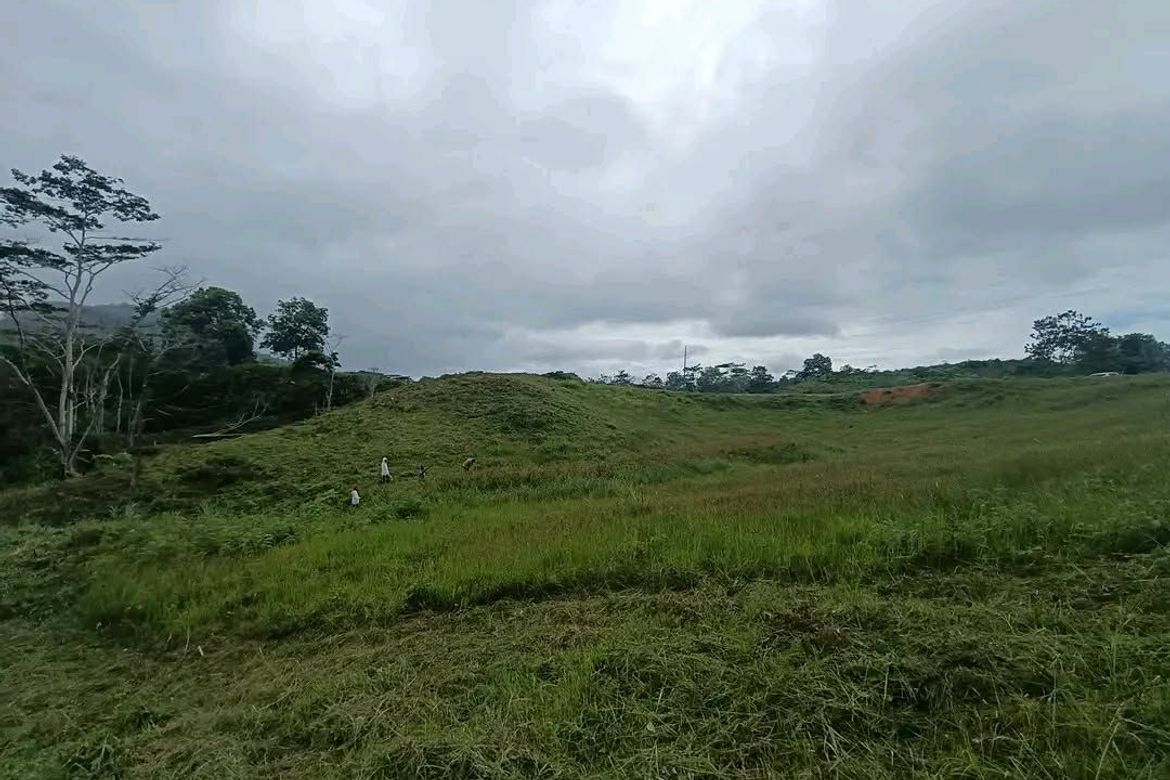 Land for Sale in Sinuda, Kitaotao, Bukidnon – photo 7