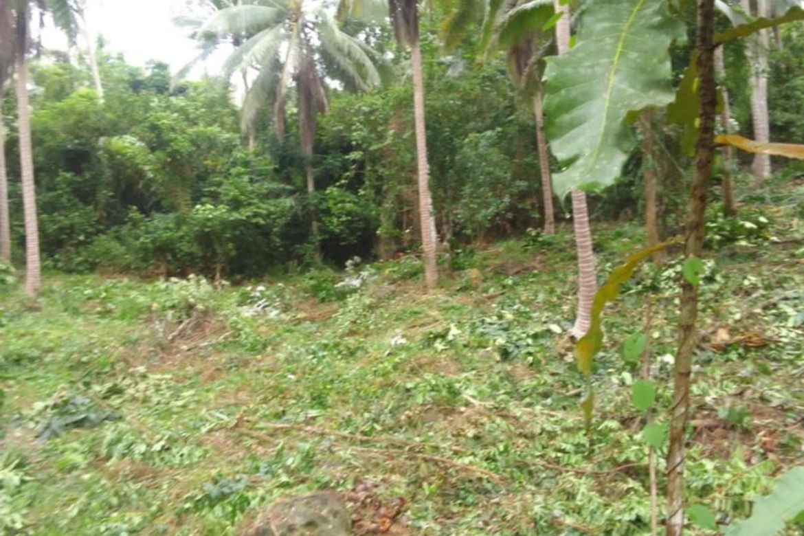 Land for Sale in Sinuknipan I, Del Gallego, Camarines Sur