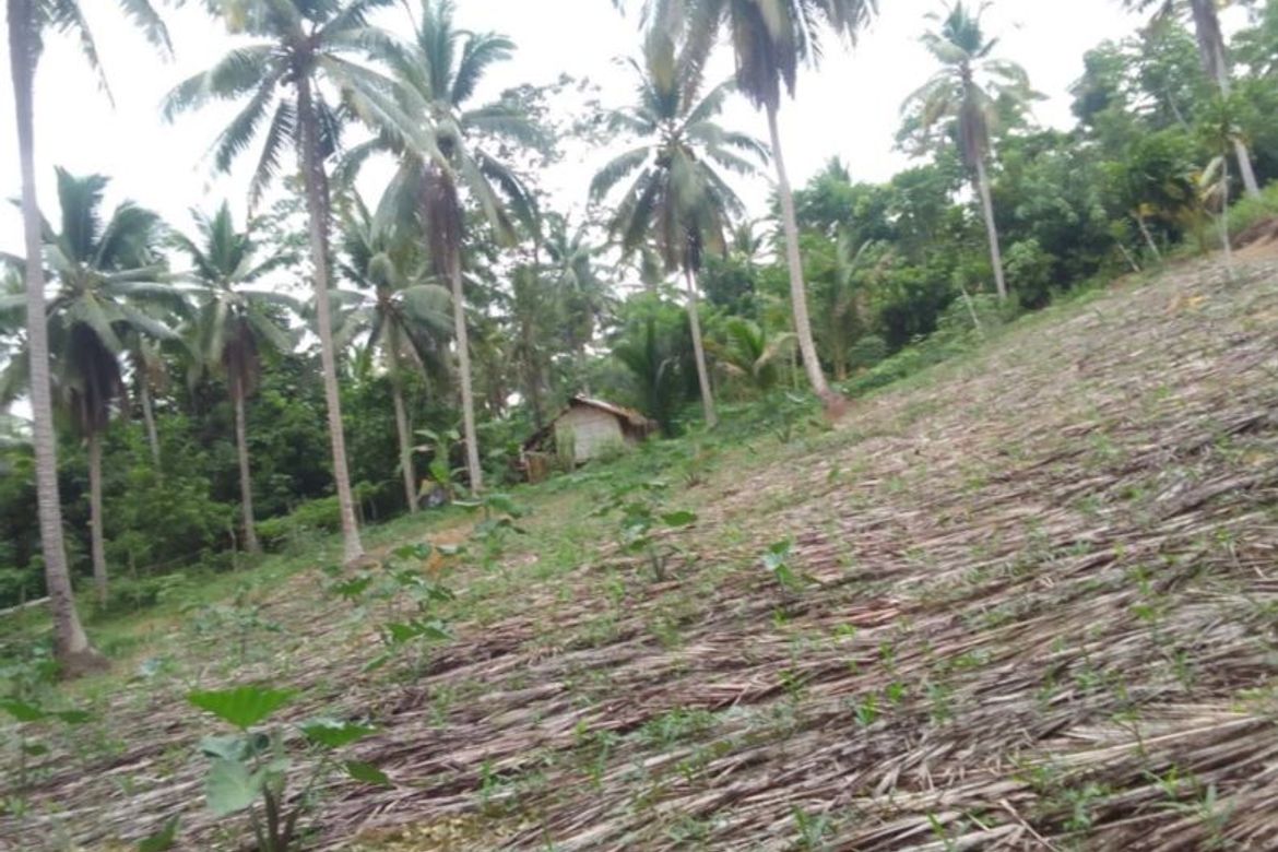 Land for Sale in Sinuknipan I, Del Gallego, Camarines Sur – photo 3