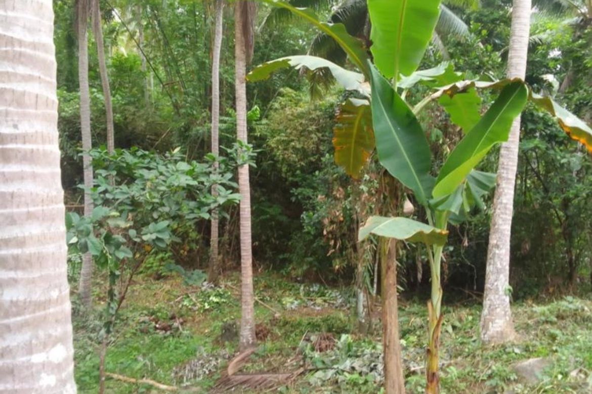 Land for Sale in Sinuknipan I, Del Gallego, Camarines Sur – photo 4