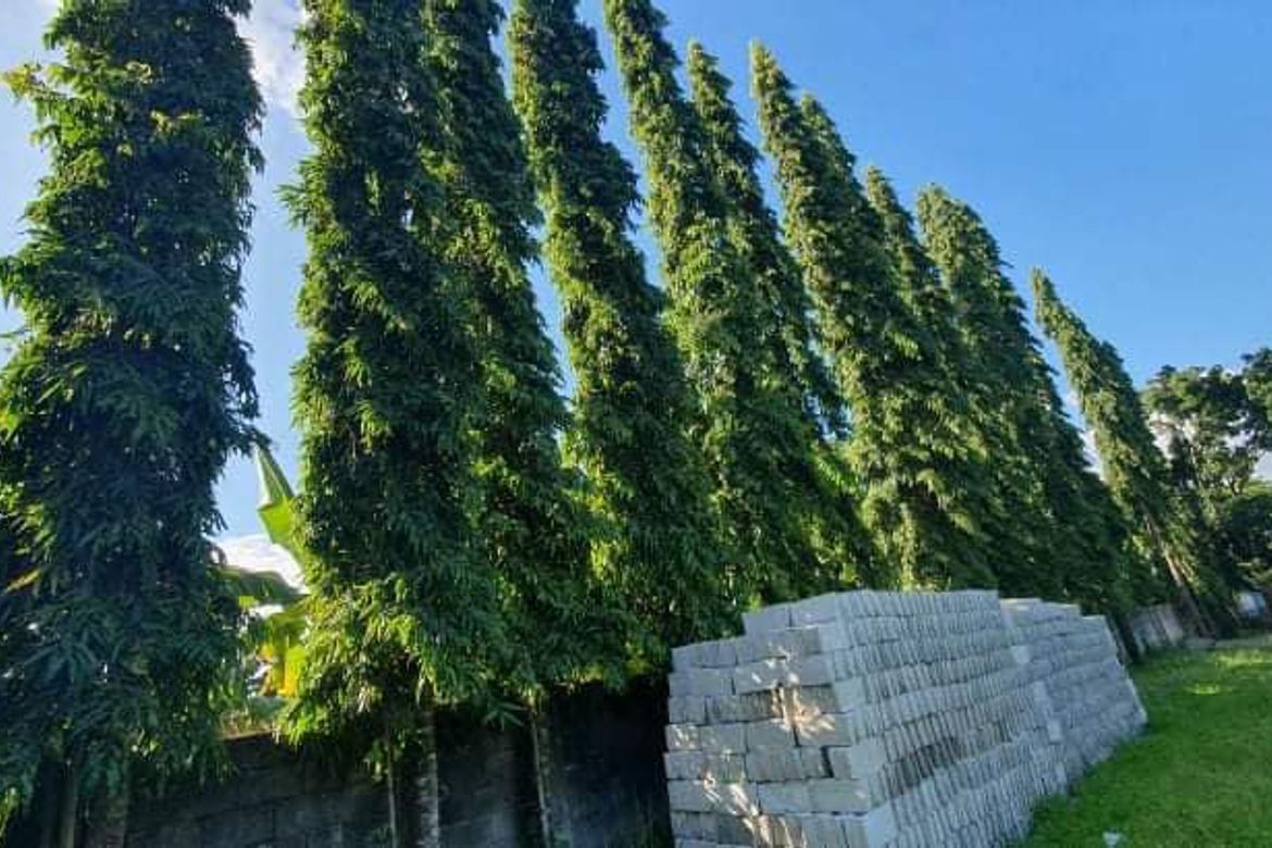 Land for Sale in Sinura, Porac, Pampanga