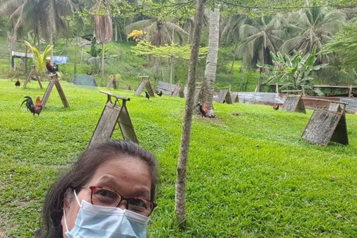 Land for Sale in Sirao, Cebu City, Cebu – photo 6