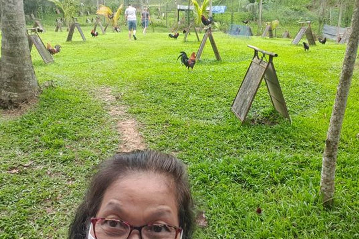 Land for Sale in Sirao, Cebu City, Cebu – photo 7