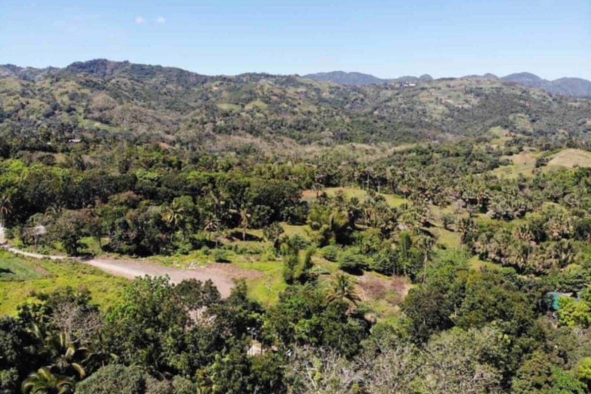 Land for Sale in Sirao, Cebu City, Cebu