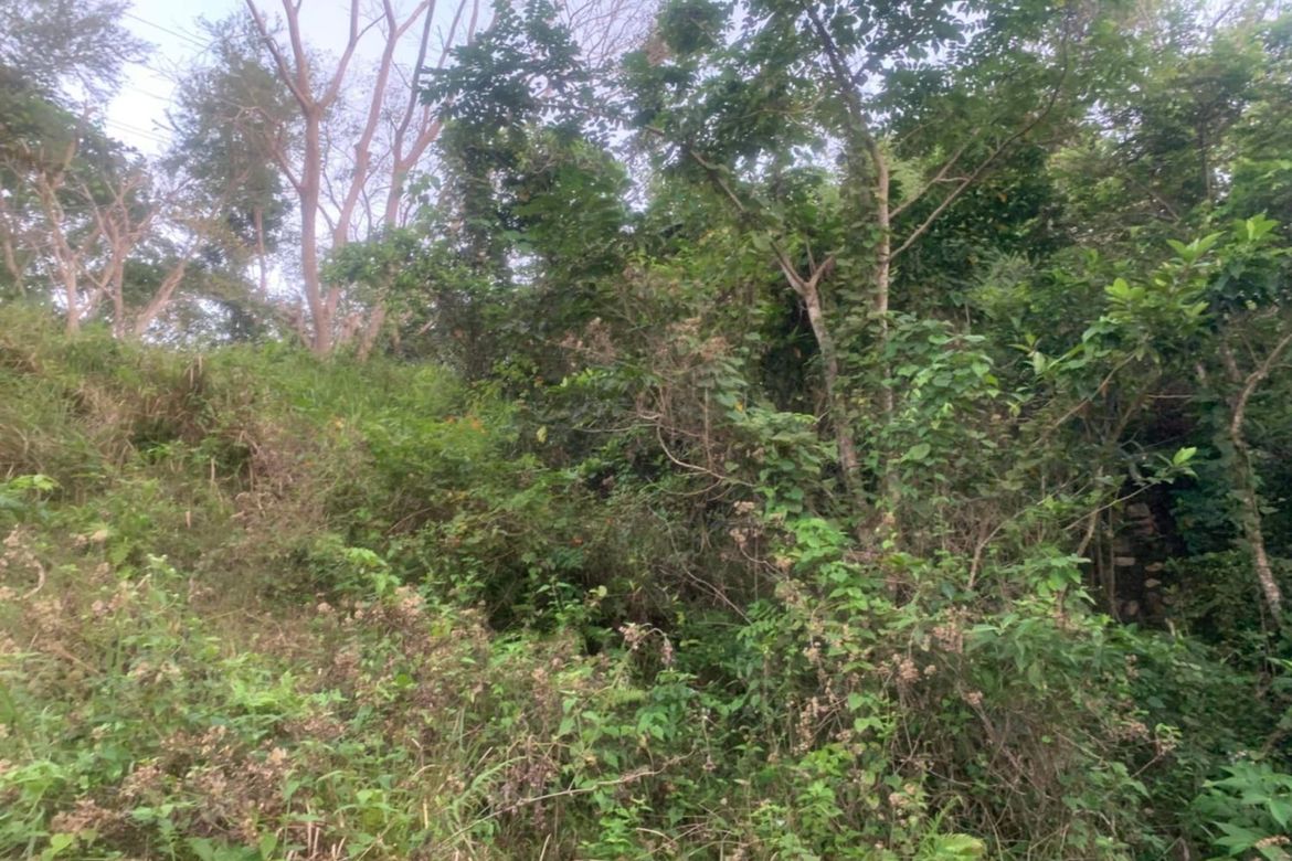 Land for Sale in Sirao, Cebu City, Cebu – photo 2