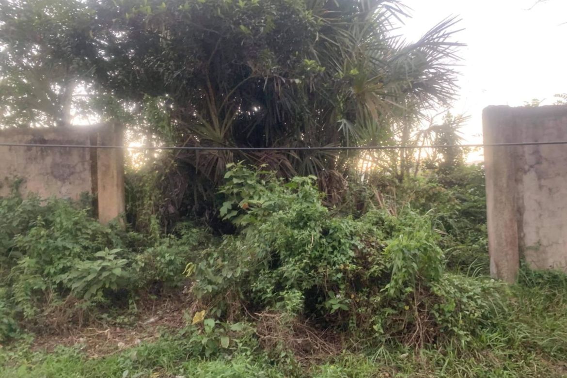 Land for Sale in Sirao, Cebu City, Cebu – photo 5