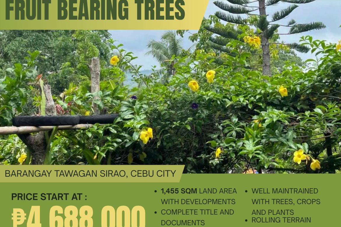 Land for Sale in Sirao, Cebu City, Cebu