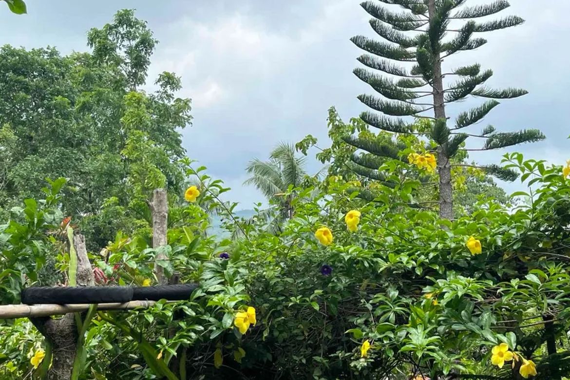 Land for Sale in Sirao, Cebu City, Cebu – photo 2