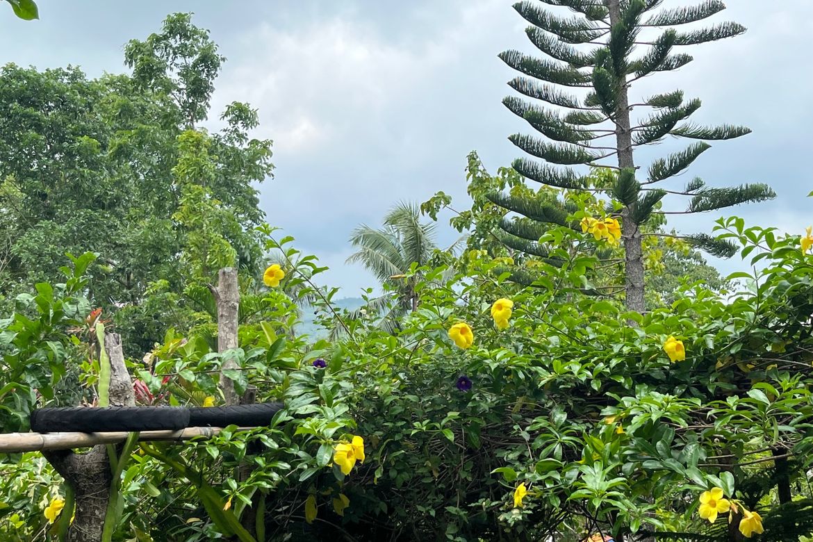Land for Sale in Sirao, Cebu City, Cebu – photo 3