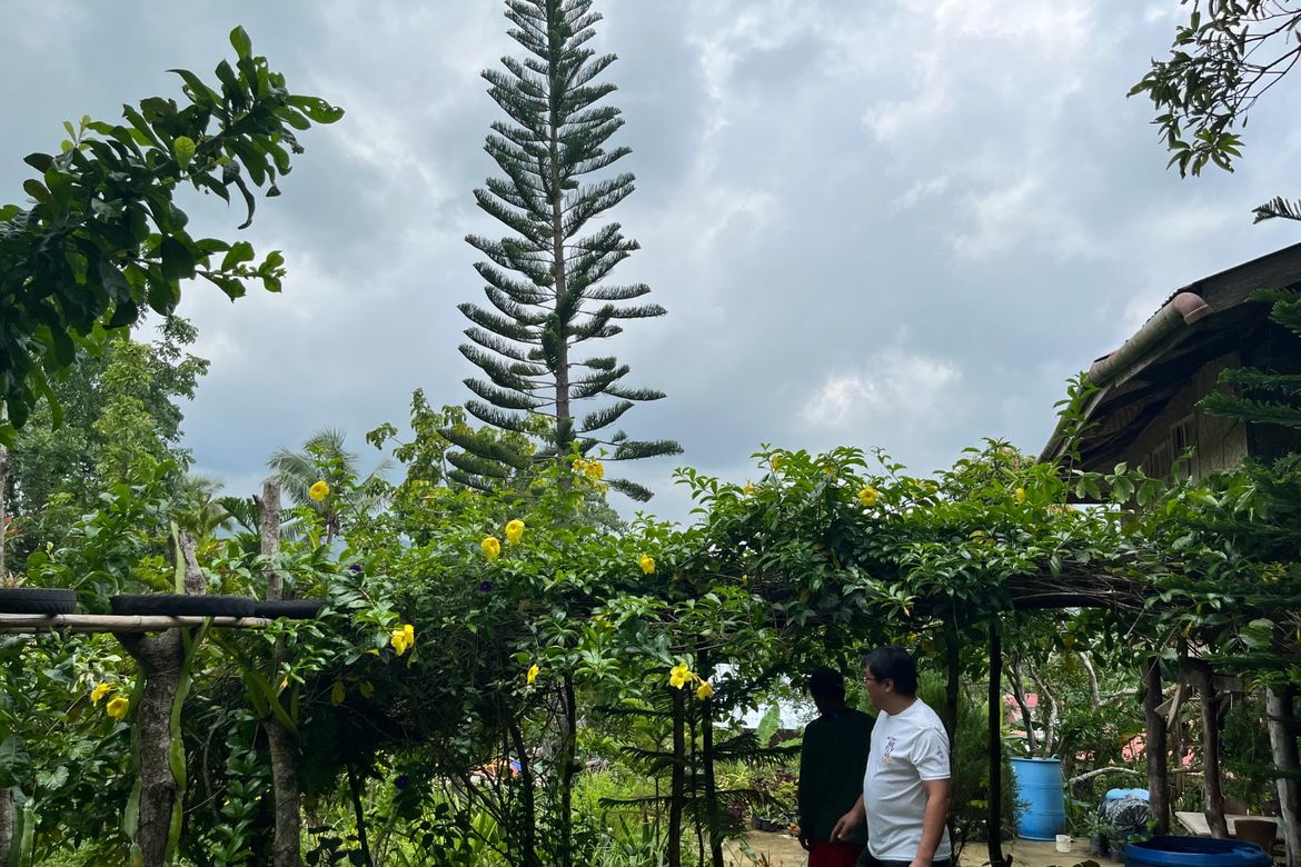 Land for Sale in Sirao, Cebu City, Cebu – photo 4