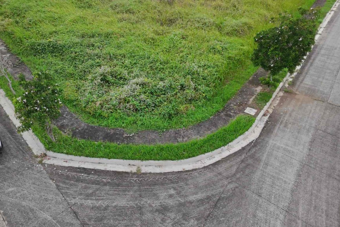 Land for Sale in Sirawan, Davao City, Davao del Sur – photo 4