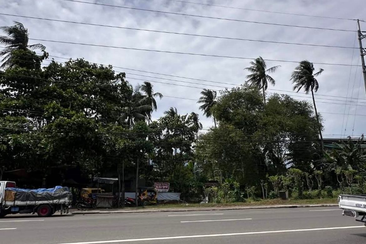 Land for Sale in Sirawan, Davao City, Davao del Sur – photo 3