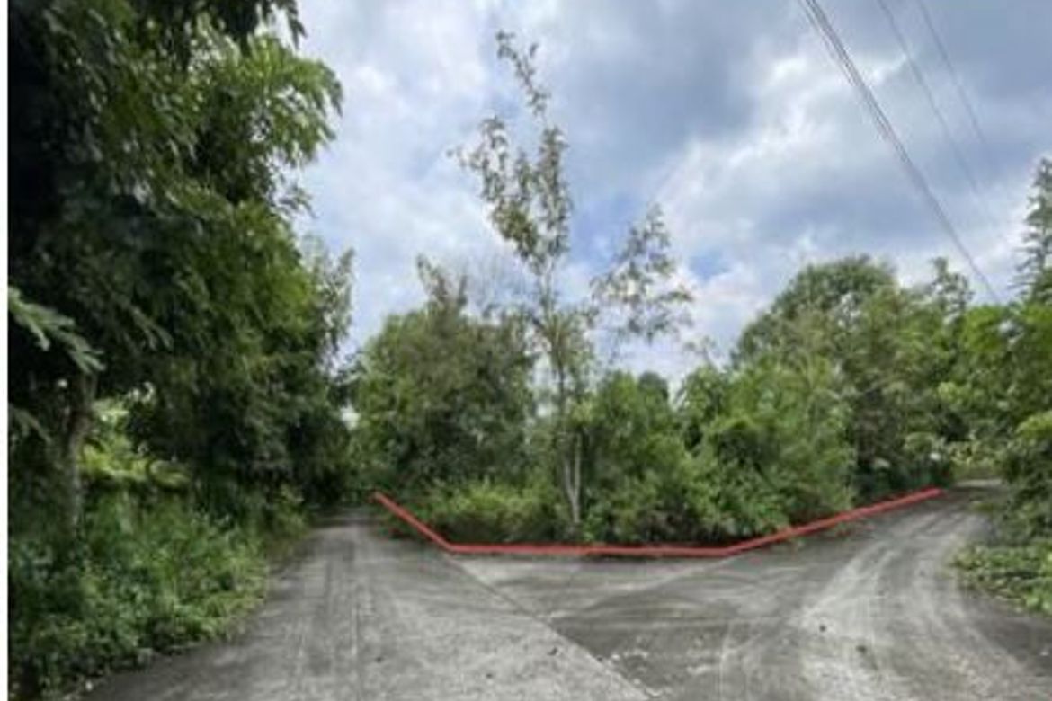 Land for Sale in Sirawan, Davao City, Davao del Sur