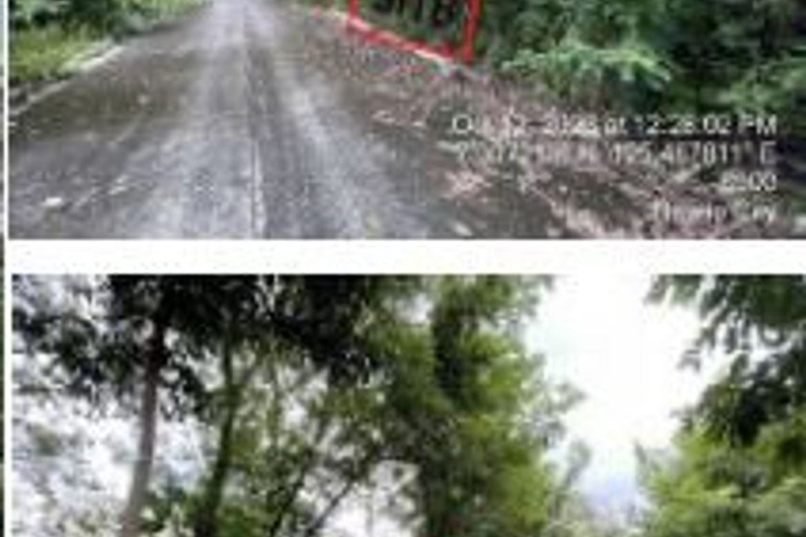 Land for Sale in Sirawan, Davao City, Davao del Sur – photo 2