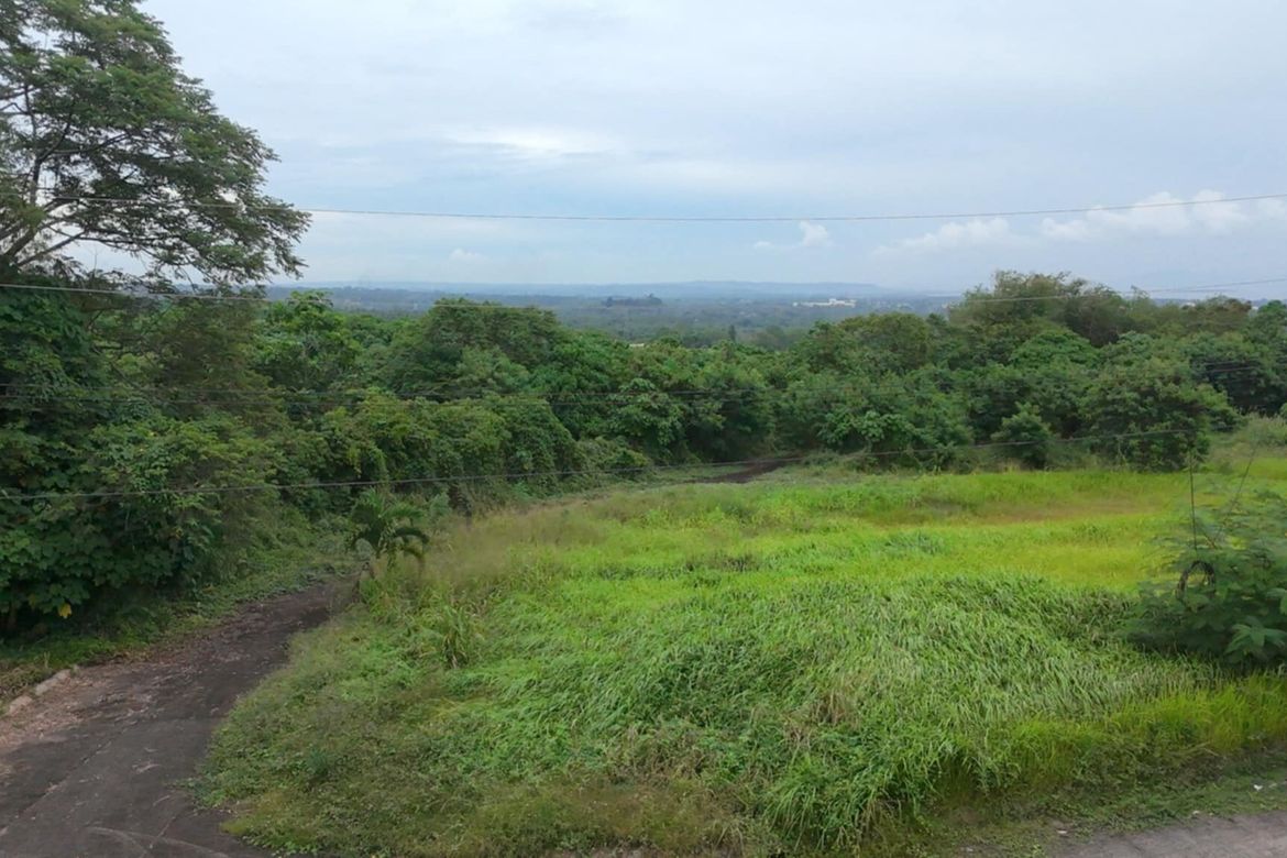 Land for Sale in Sirawan, Davao City, Davao del Sur – photo 6