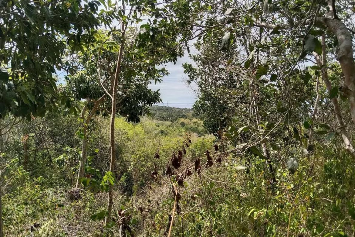Land for Sale in Solangon, San Juan, Siquijor – photo 3