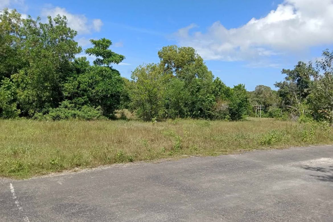 Land for Sale in Solangon, San Juan, Siquijor – photo 6
