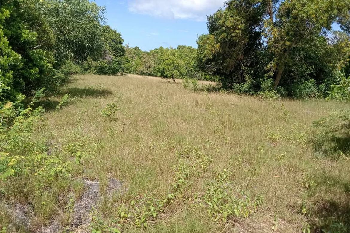 Land for Sale in Solangon, San Juan, Siquijor – photo 8