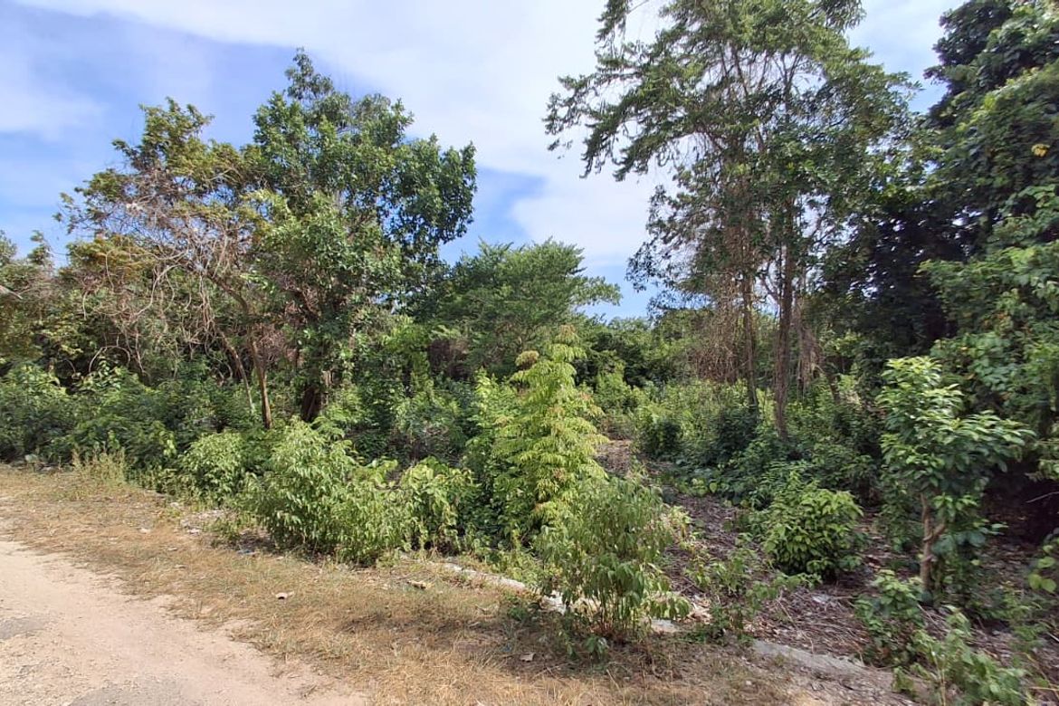Land for Sale in Solangon, San Juan, Siquijor