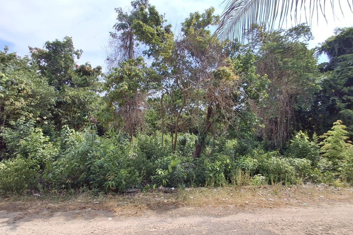 Land for Sale in Solangon, San Juan, Siquijor – photo 4