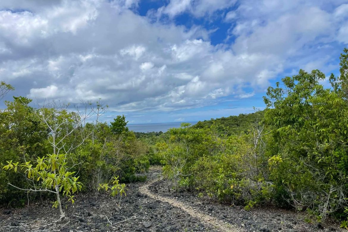 Land for Sale in Solangon, San Juan, Siquijor