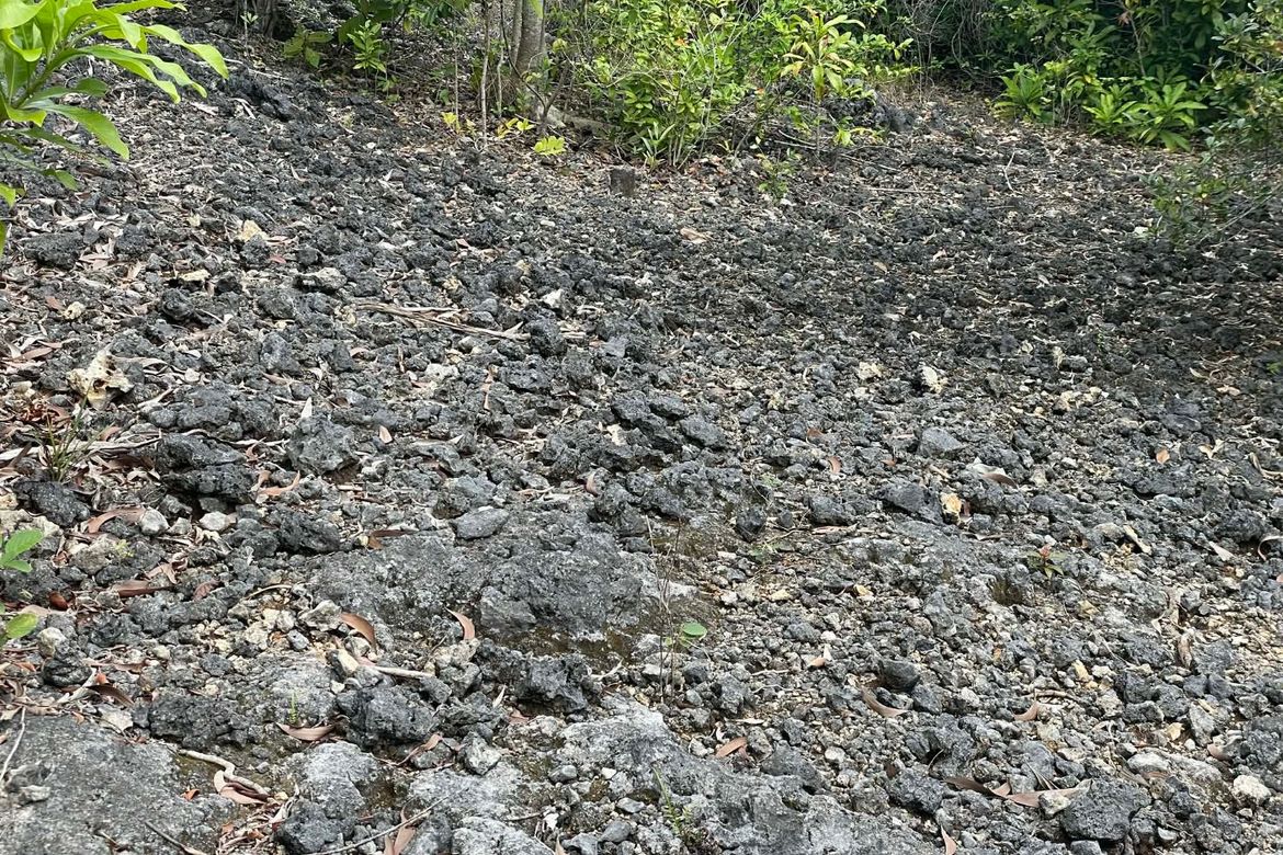 Land for Sale in Solangon, San Juan, Siquijor – photo 4