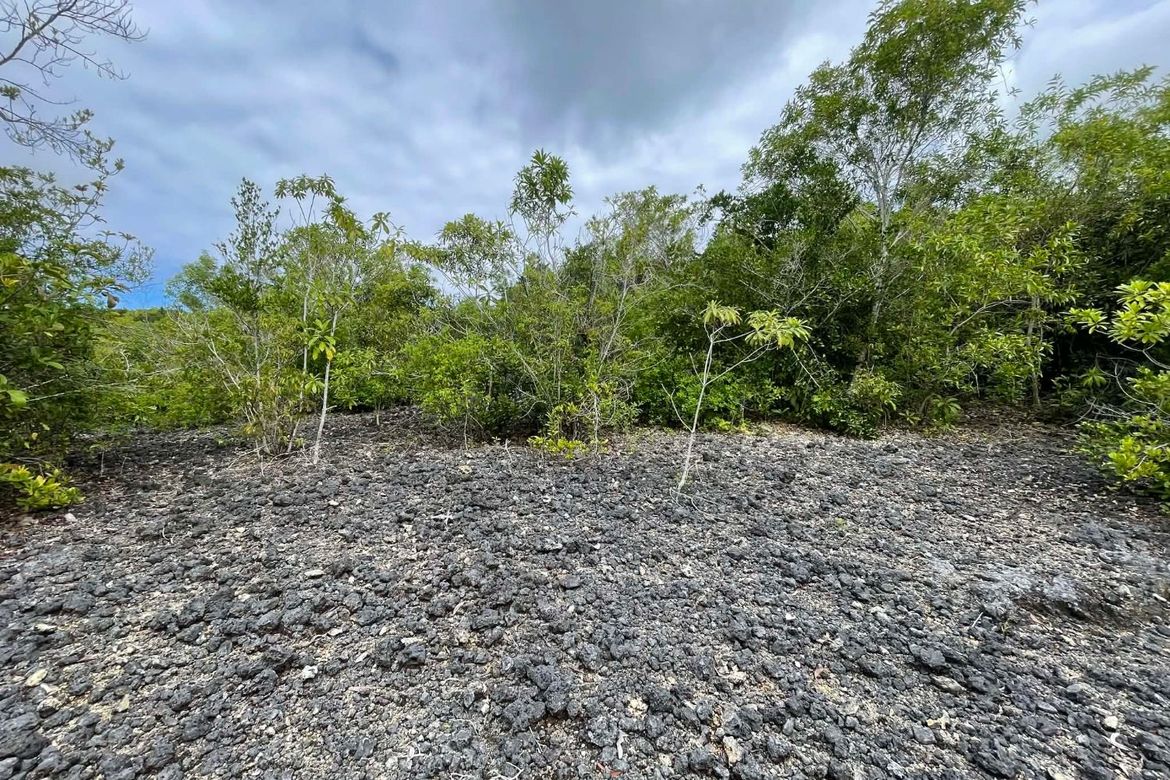 Land for Sale in Solangon, San Juan, Siquijor – photo 7