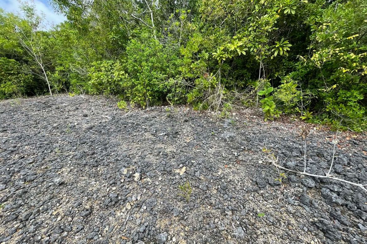 Land for Sale in Solangon, San Juan, Siquijor – photo 8