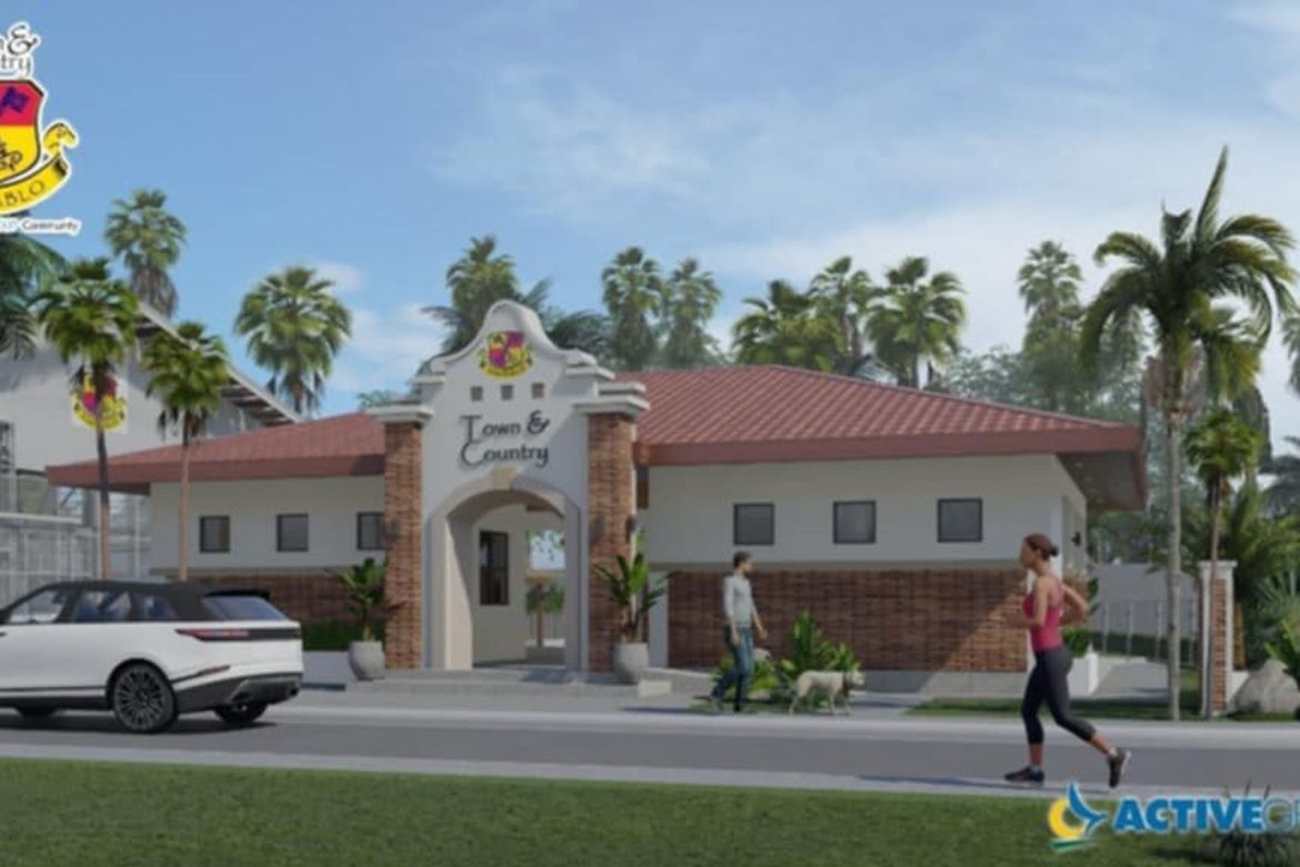 Land for Sale in Soledad, San Pablo, Laguna – photo 5