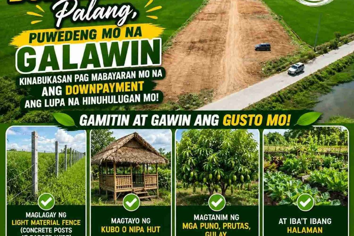 Land for Sale in Soledad, Santa Rosa, Nueva Ecija – photo 2