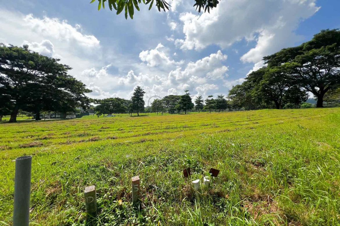 Land for Sale in Soliento, Canlubang, Calamba, Laguna – photo 7