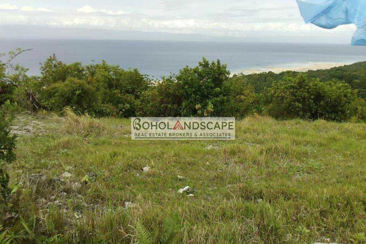 Land for Sale in Song-On, Loon, Bohol