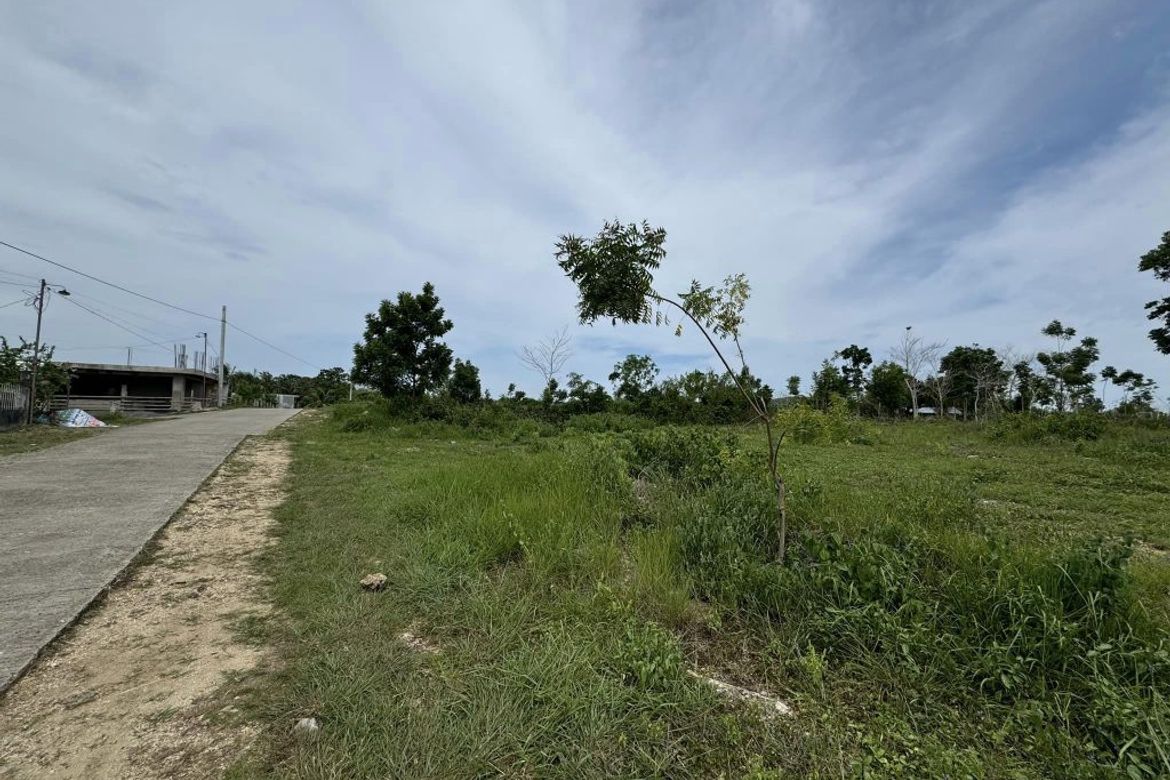 Land for Sale in Songculan, Dauis, Bohol – photo 4