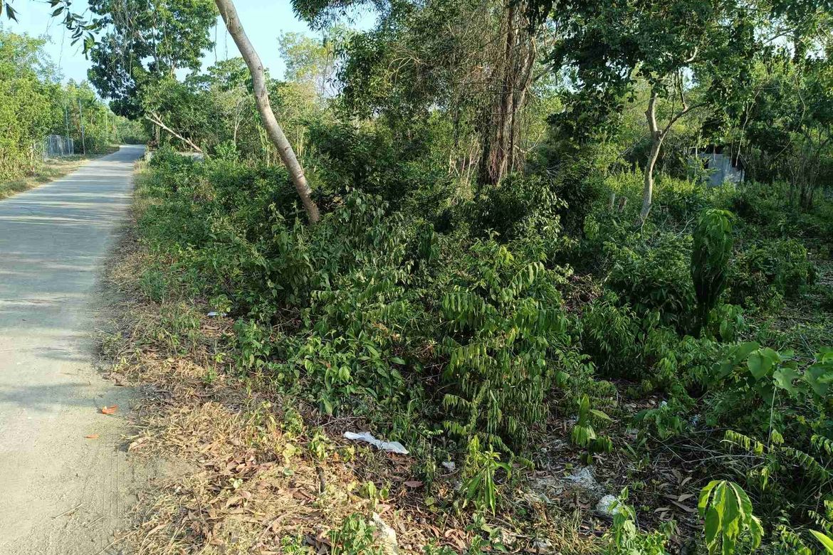 Land for Sale in Songculan, Dauis, Bohol – photo 5