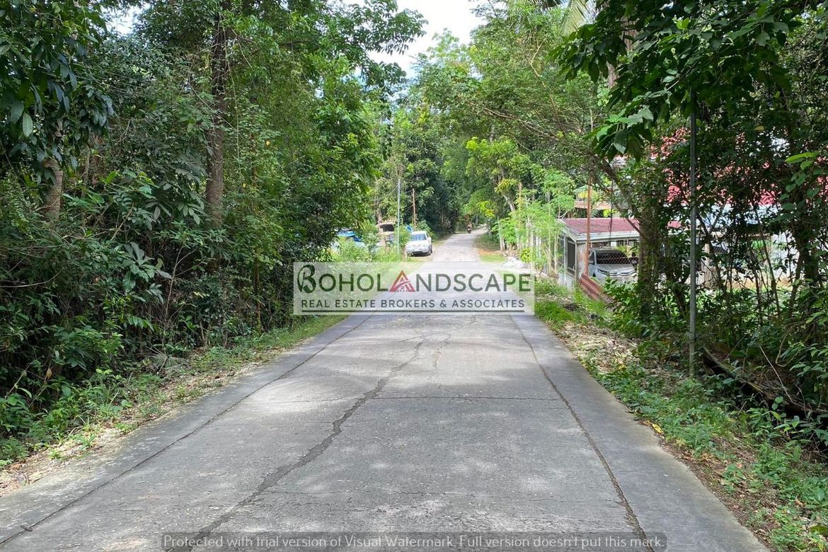Land for Sale in Songculan, Dauis, Bohol – photo 2