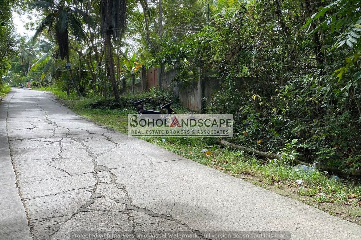 Land for Sale in Songculan, Dauis, Bohol – photo 3