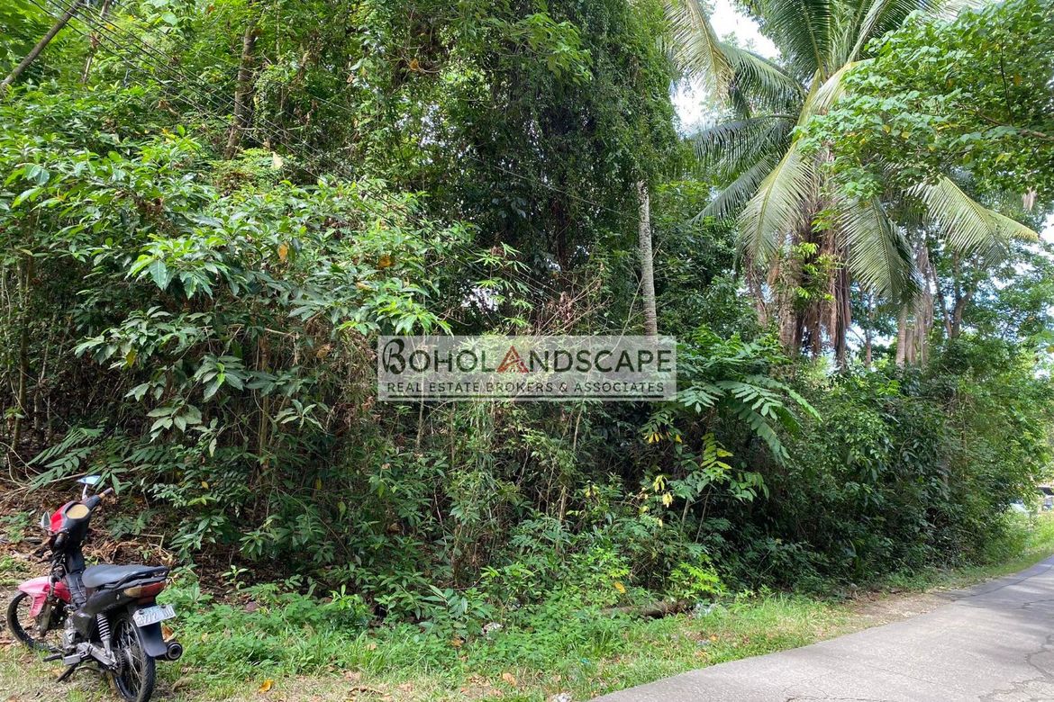 Land for Sale in Songculan, Dauis, Bohol – photo 4