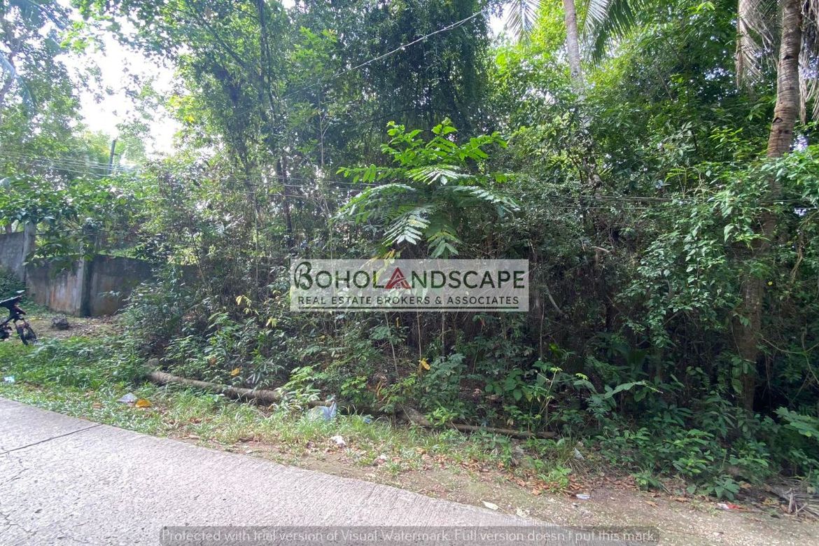 Land for Sale in Songculan, Dauis, Bohol – photo 5