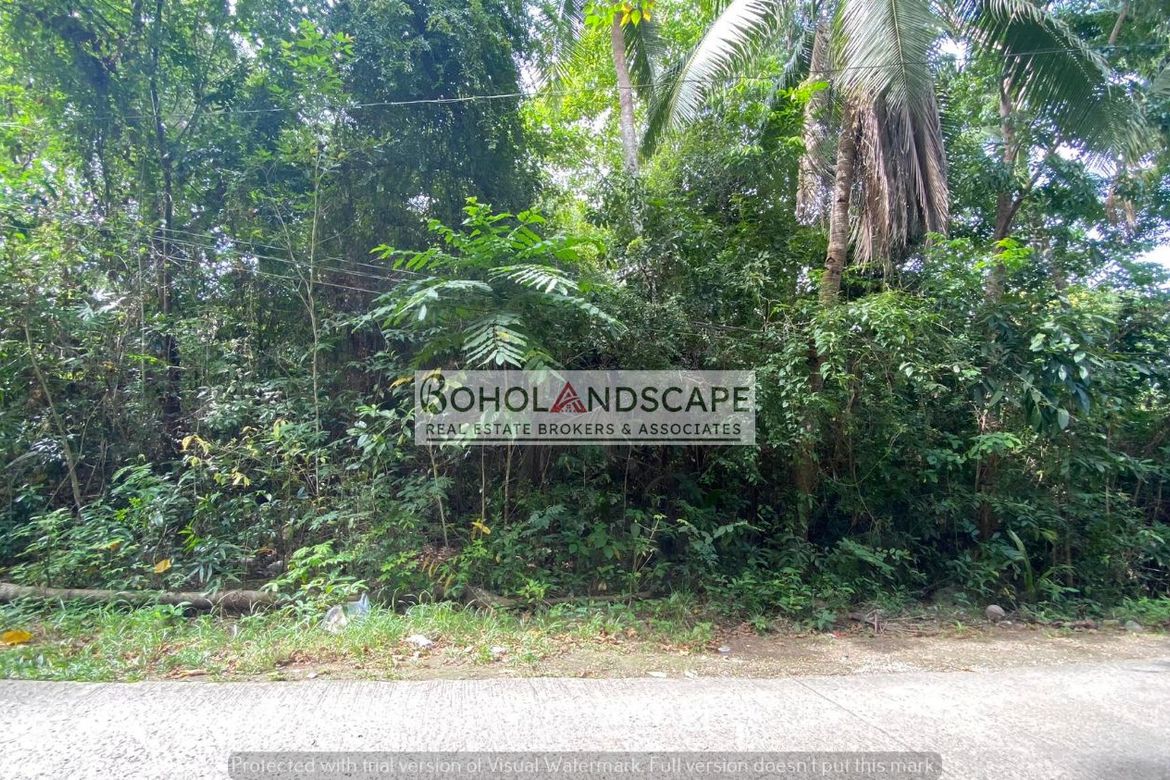 Land for Sale in Songculan, Dauis, Bohol – photo 6