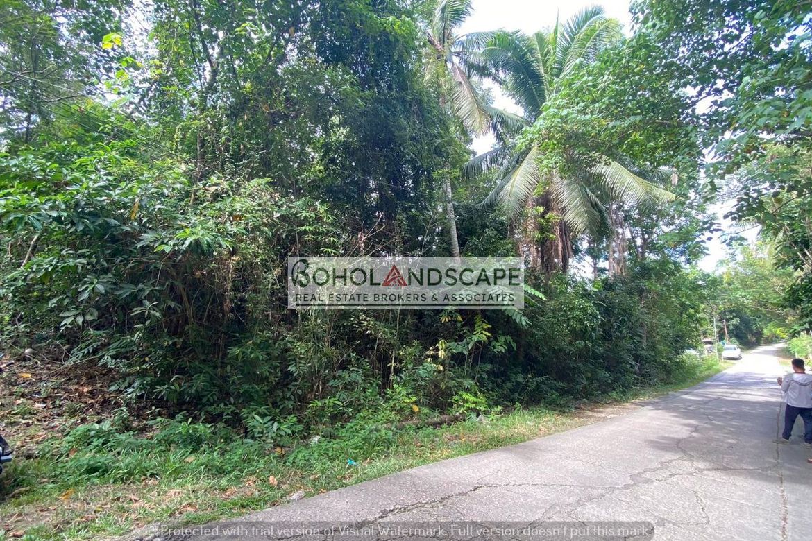 Land for Sale in Songculan, Dauis, Bohol – photo 7