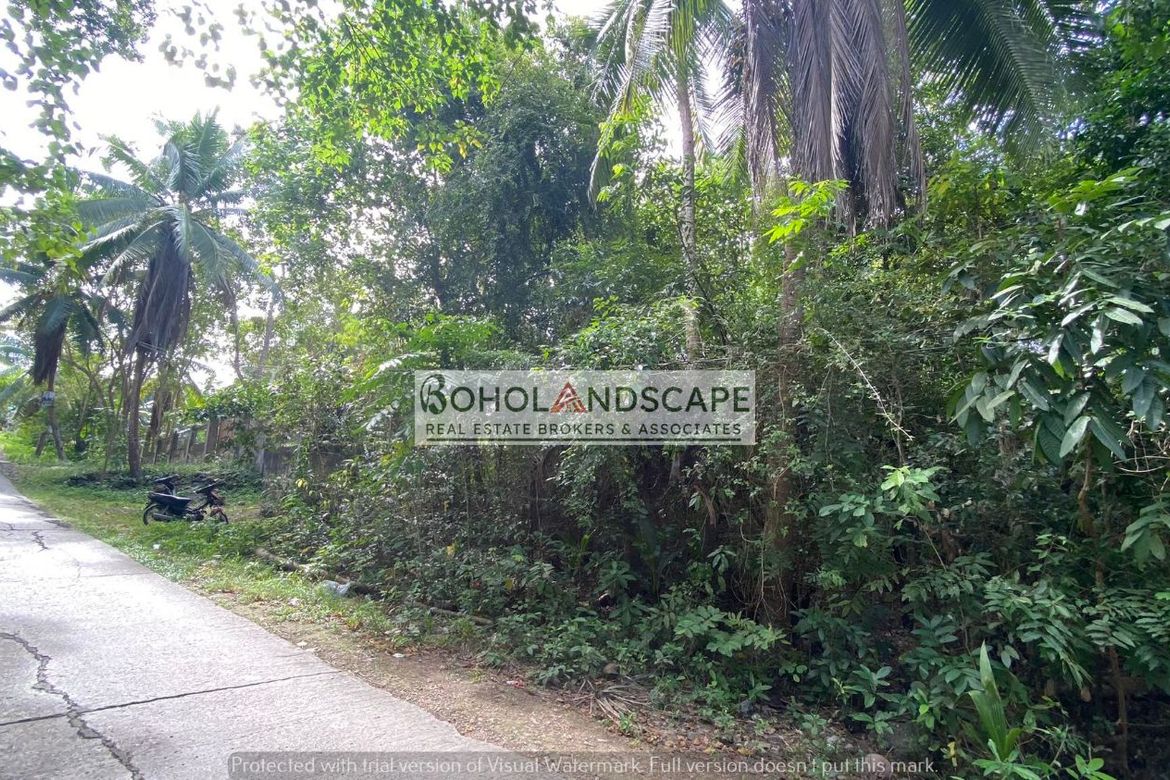 Land for Sale in Songculan, Dauis, Bohol – photo 8