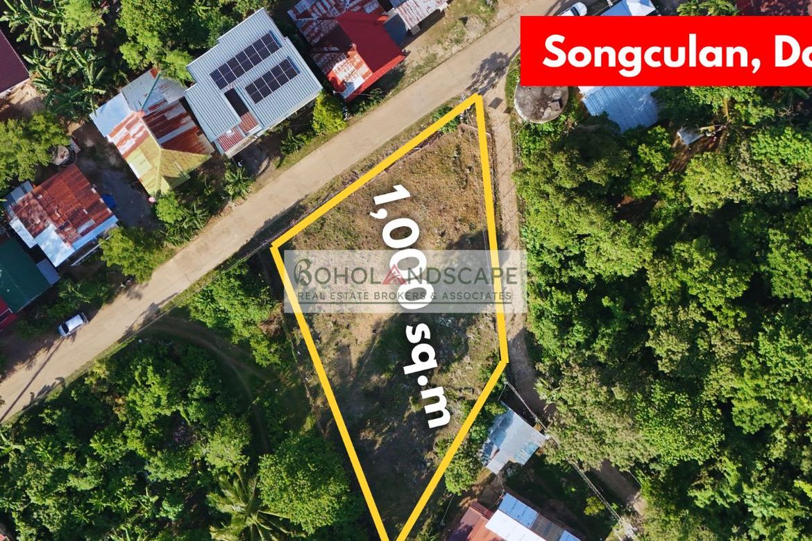 Land for Sale in Songculan, Dauis, Bohol