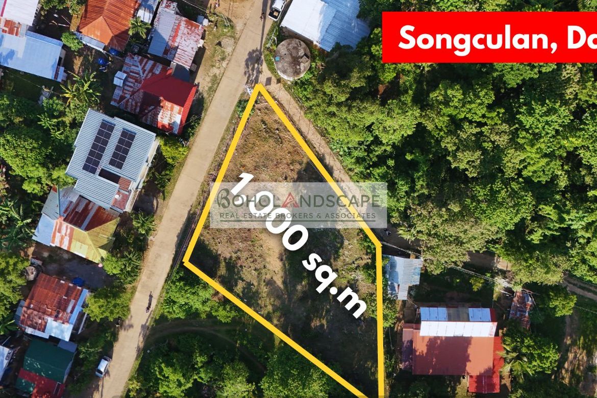 Land for Sale in Songculan, Dauis, Bohol – photo 4
