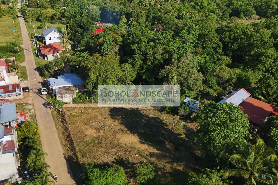 Land for Sale in Songculan, Dauis, Bohol – photo 5