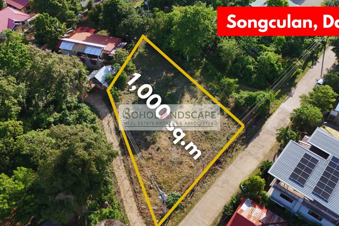 Land for Sale in Songculan, Dauis, Bohol – photo 7