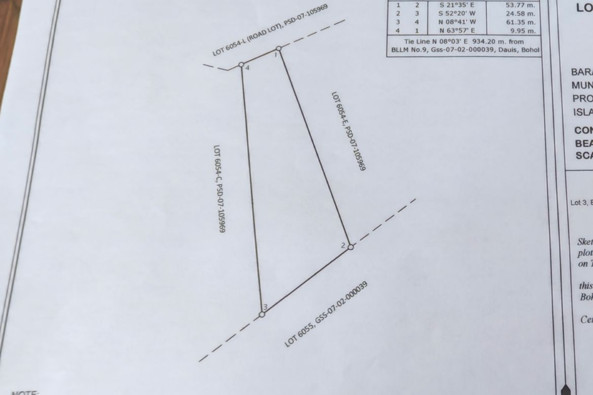 Land for Sale in Songculan, Dauis, Bohol – photo 5