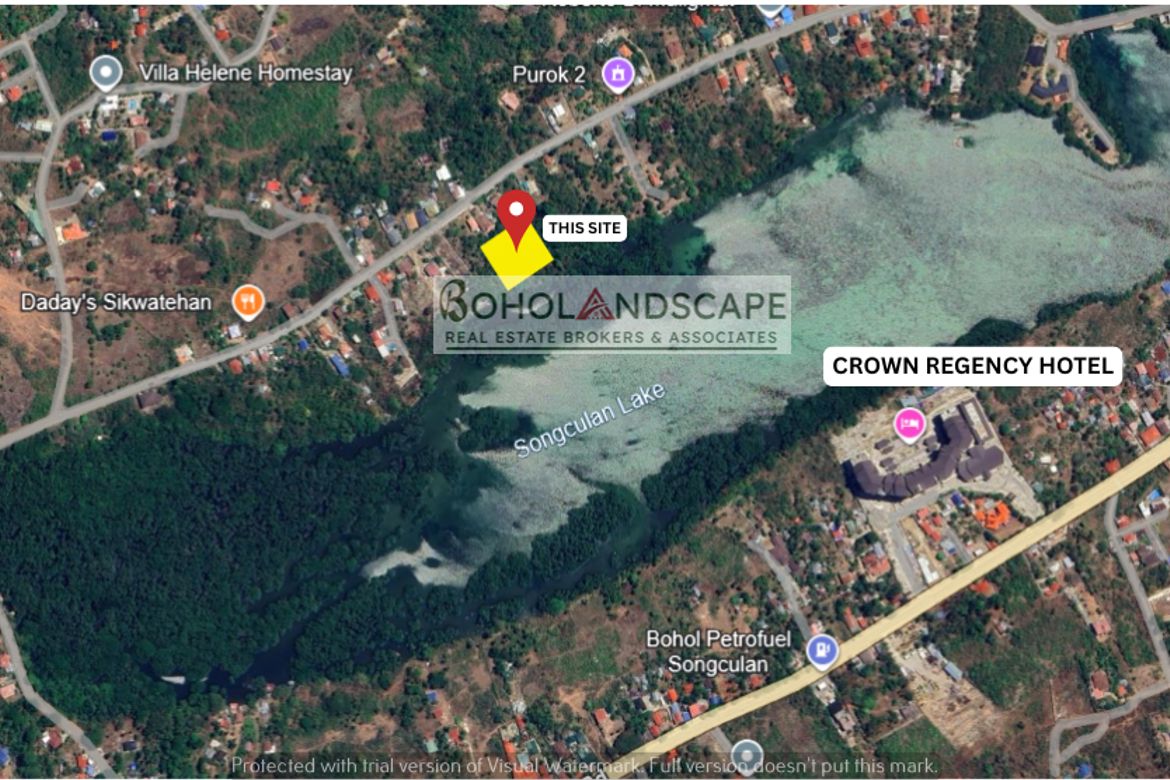 Land for Sale in Songculan, Dauis, Bohol – photo 3