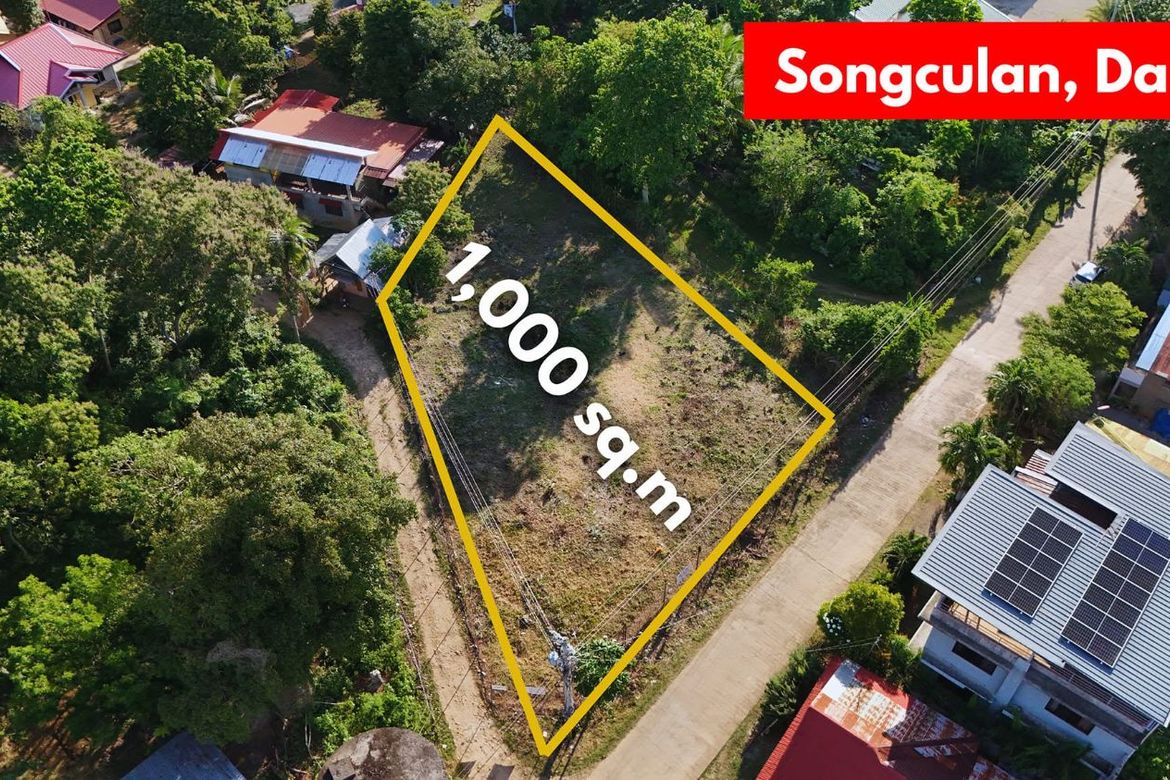 Land for Sale in Songculan, Dauis, Bohol – photo 3